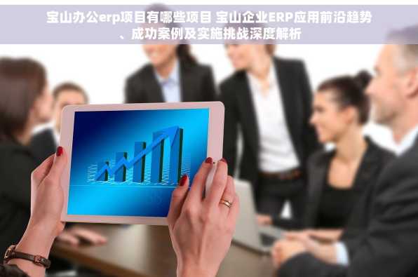宝山办公erp项目有哪些项目 宝山企业ERP应用前沿趋势、成功案例及实施挑战深度解析