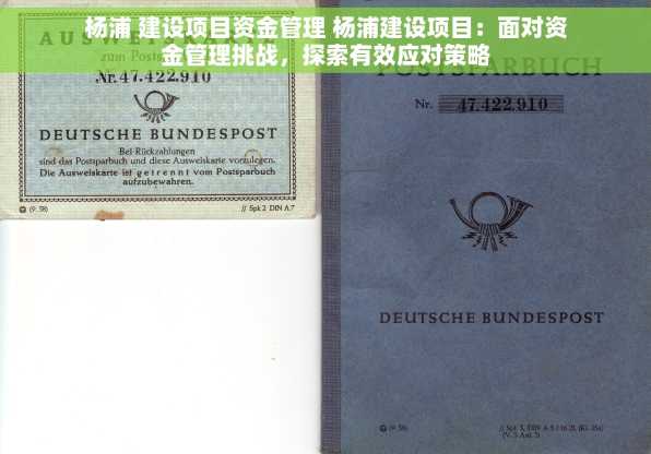 杨浦 建设项目资金管理 杨浦建设项目：面对资金管理挑战，探索有效应对策略