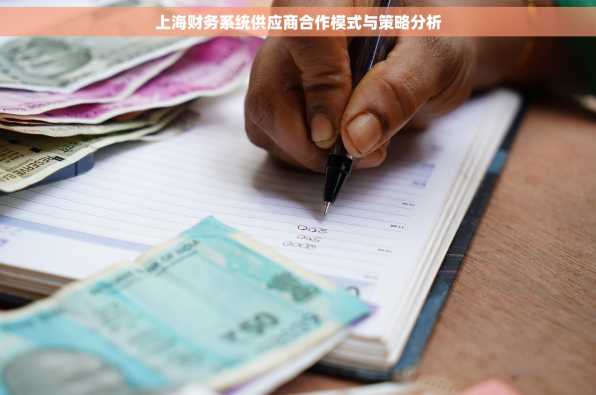 上海财务系统供应商合作模式与策略分析