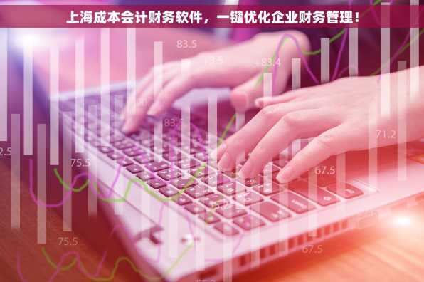 上海成本会计财务软件，一键优化企业财务管理！