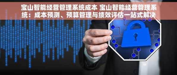 宝山智能经营管理系统成本 宝山智能经营管理系统：成本预测、预算管理与绩效评估一站式解决方案