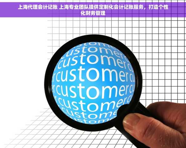 上海代理会计记账 上海专业团队提供定制化会计记账服务，打造个性化财务管理