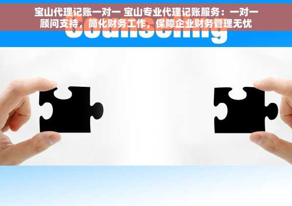宝山代理记账一对一 宝山专业代理记账服务：一对一顾问支持，简化财务工作，保障企业财务管理无忧
