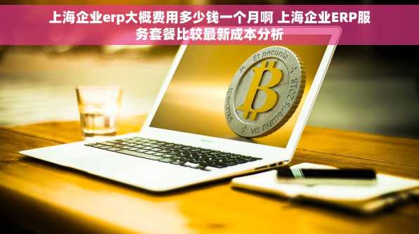上海企业erp大概费用多少钱一个月啊 上海企业ERP服务套餐比较最新成本分析