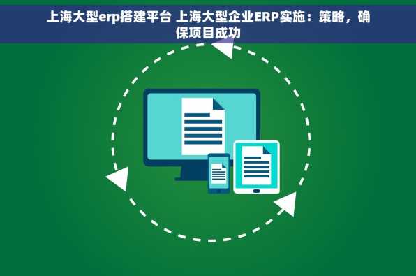 上海大型erp搭建平台 上海大型企业ERP实施：策略，确保项目成功