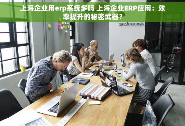上海企业用erp系统多吗 上海企业ERP应用：效率提升的秘密武器？