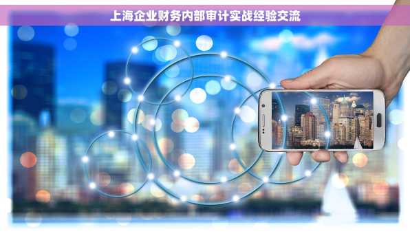 上海企业财务内部审计实战经验交流