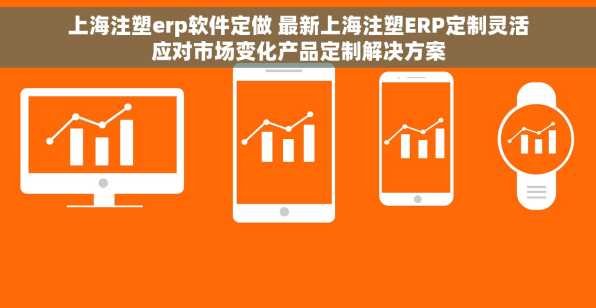 上海注塑erp软件定做 最新上海注塑ERP定制灵活应对市场变化产品定制解决方案