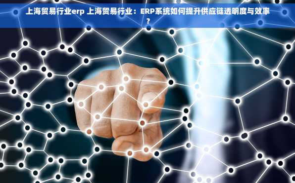 上海贸易行业erp 上海贸易行业：ERP系统如何提升供应链透明度与效率？