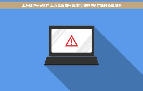上海各种erp软件 上海企业如何高效利用ERP软件提升管理效率