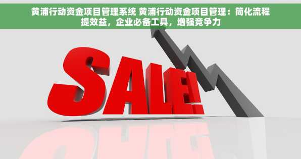 黄浦行动资金项目管理系统 黄浦行动资金项目管理：简化流程提效益，企业必备工具，增强竞争力