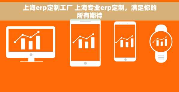 上海erp定制工厂 上海专业erp定制，满足你的所有期待