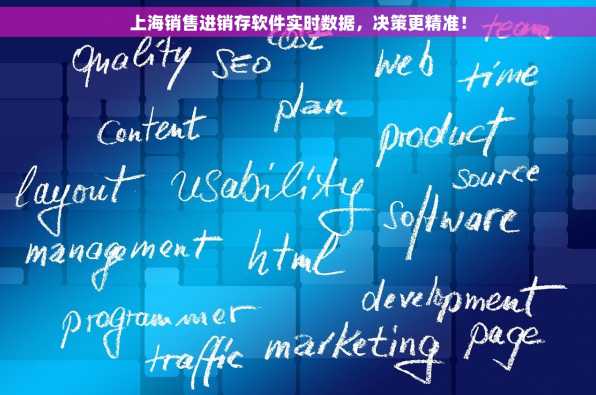 上海销售进销存软件实时数据，决策更精准！