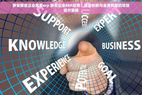 静安那些企业需要erp 静安企业ERP应用：驱动创新与业务转型的双效提升策略