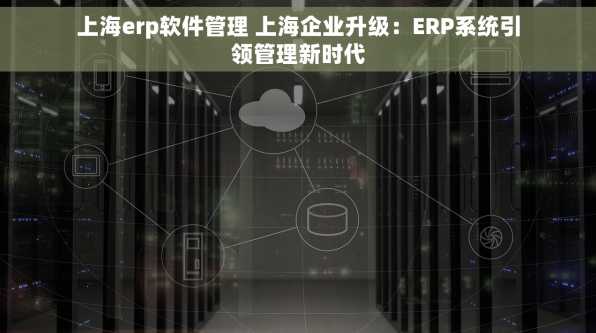 上海erp软件管理 上海企业升级：ERP系统引领管理新时代