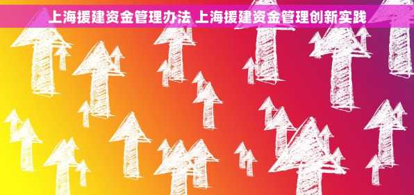上海援建资金管理办法 上海援建资金管理创新实践
