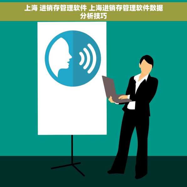 上海 进销存管理软件 上海进销存管理软件数据分析技巧