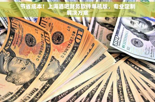 节省成本！上海酒吧财务软件单机版，专业定制解决方案