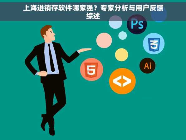 上海进销存软件哪家强？专家分析与用户反馈综述