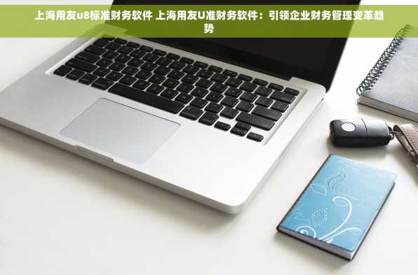 上海用友u8标准财务软件 上海用友U准财务软件：引领企业财务管理变革趋势