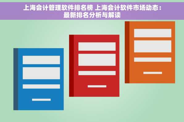 上海会计管理软件排名榜 上海会计软件市场动态：最新排名分析与解读