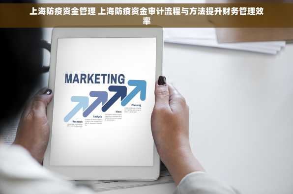上海防疫资金管理 上海防疫资金审计流程与方法提升财务管理效率
