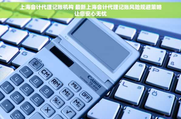 上海会计代理记账机构 最新上海会计代理记账风险规避策略让您安心无忧