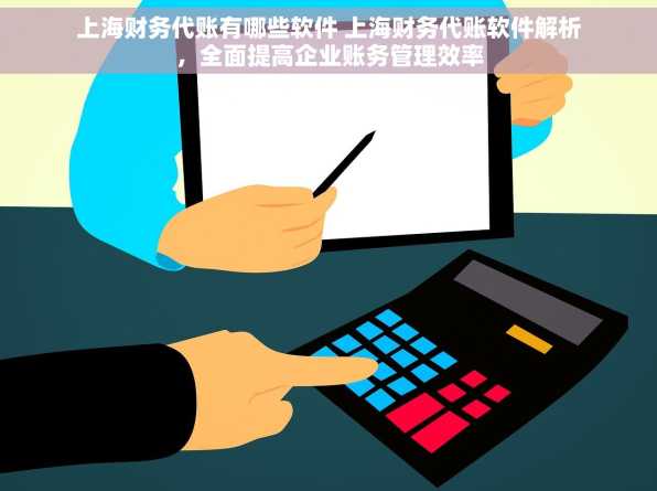 上海财务代账有哪些软件 上海财务代账软件解析，全面提高企业账务管理效率