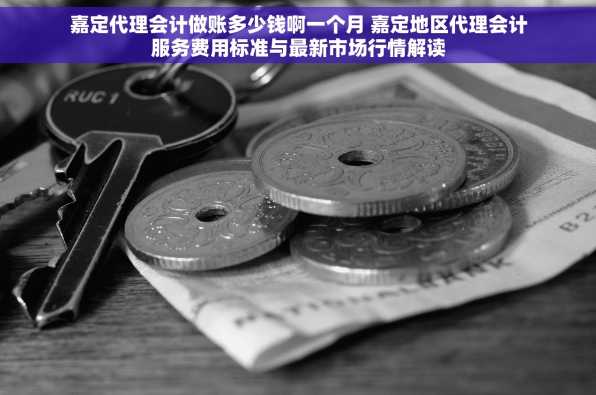 嘉定代理会计做账多少钱啊一个月 嘉定地区代理会计服务费用标准与最新市场行情解读