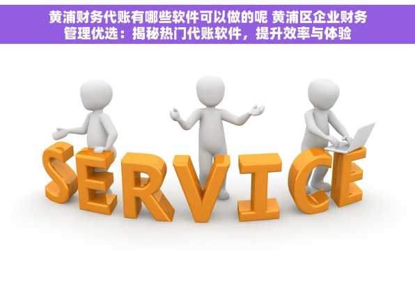 黄浦财务代账有哪些软件可以做的呢 黄浦区企业财务管理优选：揭秘热门代账软件，提升效率与体验