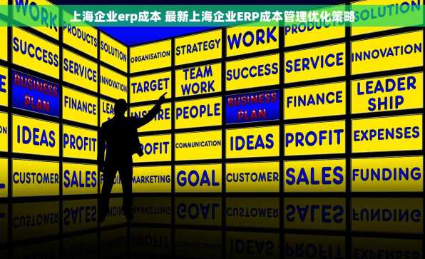 上海企业erp成本 最新上海企业ERP成本管理优化策略