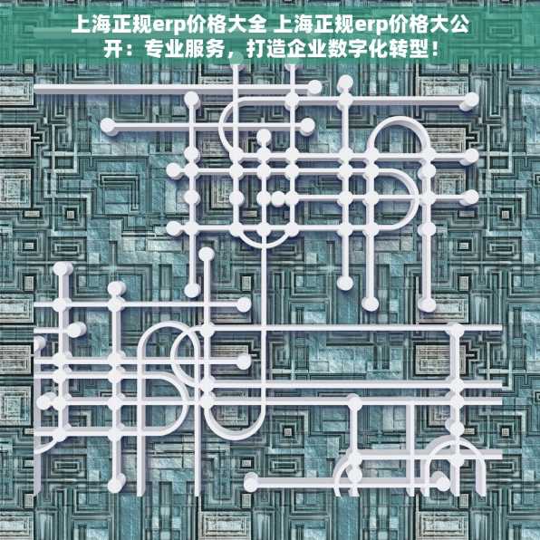 上海正规erp价格大全 上海正规erp价格大公开：专业服务，打造企业数字化转型！