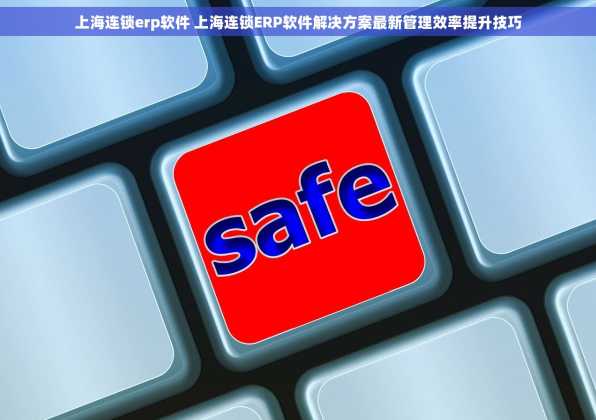 上海连锁erp软件 上海连锁ERP软件解决方案最新管理效率提升技巧