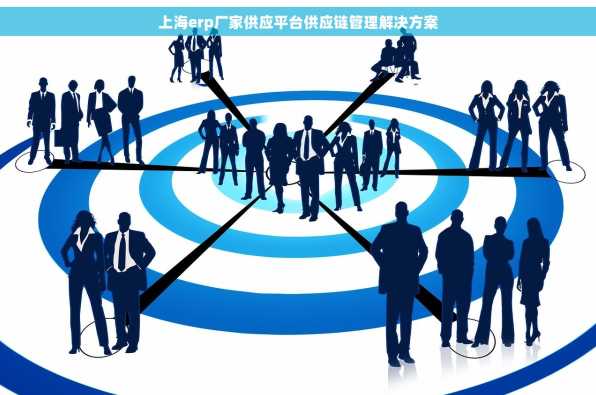 上海erp厂家供应平台供应链管理解决方案