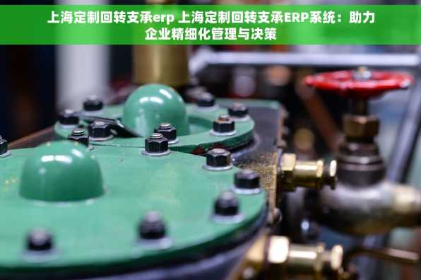 上海定制回转支承erp 上海定制回转支承ERP系统：助力企业精细化管理与决策