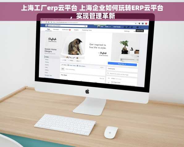 上海工厂erp云平台 上海企业如何玩转ERP云平台，实现管理革新