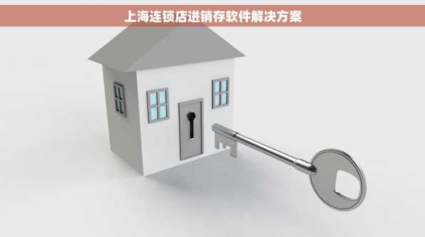 上海连锁店进销存软件解决方案
