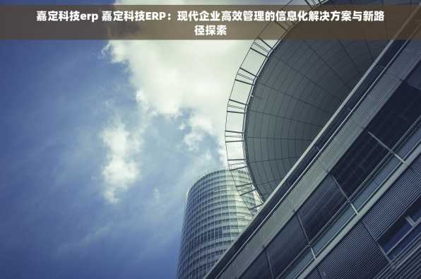 嘉定科技erp 嘉定科技ERP：现代企业高效管理的信息化解决方案与新路径探索