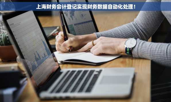 上海财务会计登记实现财务数据自动化处理！