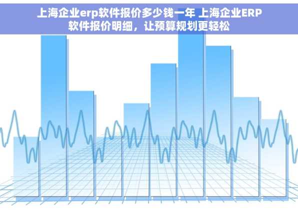 上海企业erp软件报价多少钱一年 上海企业ERP软件报价明细，让预算规划更轻松