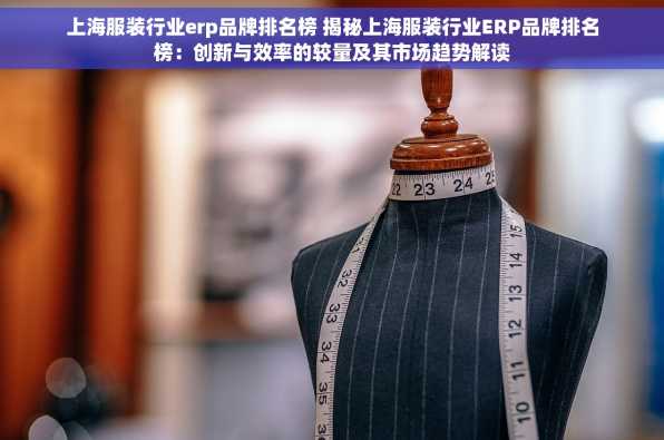 上海服装行业erp品牌排名榜 揭秘上海服装行业ERP品牌排名榜：创新与效率的较量及其市场趋势解读