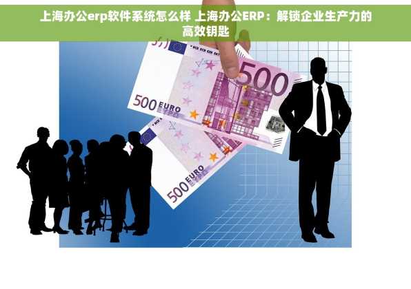 上海办公erp软件系统怎么样 上海办公ERP：解锁企业生产力的高效钥匙