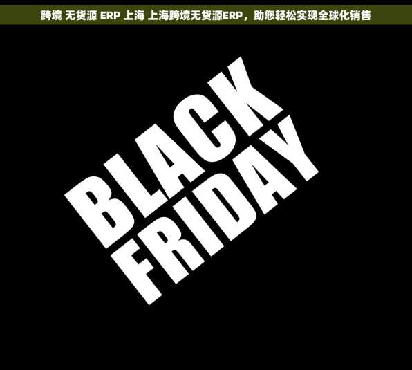 跨境 无货源 ERP 上海 上海跨境无货源ERP，助您轻松实现全球化销售