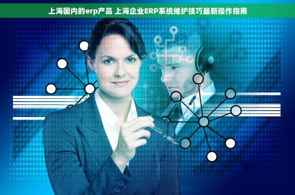 上海国内的erp产品 上海企业ERP系统维护技巧最新操作指南