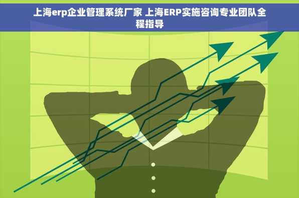 上海erp企业管理系统厂家 上海ERP实施咨询专业团队全程指导