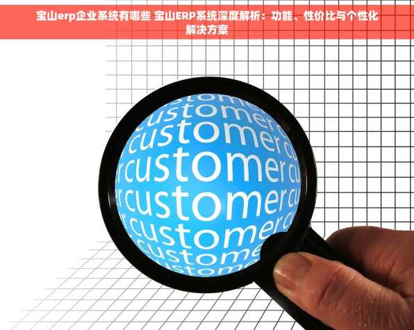 宝山erp企业系统有哪些 宝山ERP系统深度解析：功能、性价比与个性化解决方案