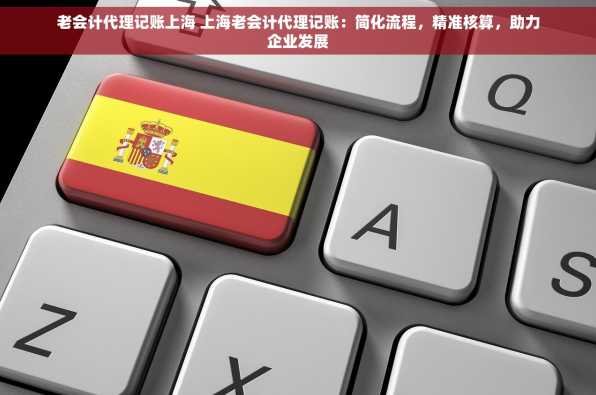 老会计代理记账上海 上海老会计代理记账：简化流程，精准核算，助力企业发展
