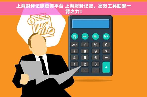 上海财务记账查询平台 上海财务记账，高效工具助您一臂之力！