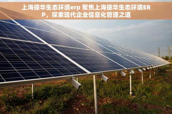上海德华生态环境erp 聚焦上海德华生态环境ERP，探索现代企业信息化管理之道
