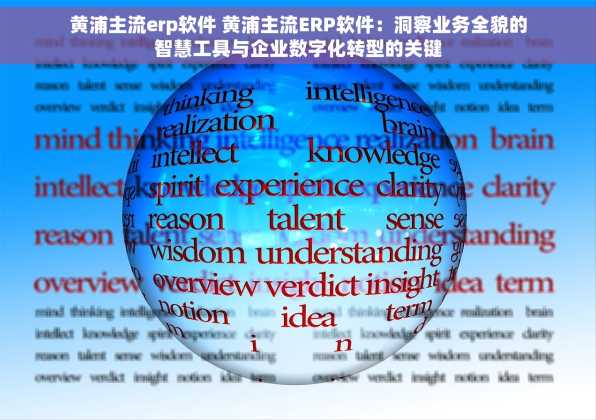 黄浦主流erp软件 黄浦主流ERP软件：洞察业务全貌的智慧工具与企业数字化转型的关键